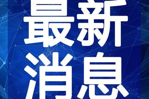 郑州爆料吃货视频最新,最新爆料吃货视频带你领略地道的郑州味蕾之旅 第3张 郑州爆料吃货视频最新,最新爆料吃货视频带你领略地道的郑州味蕾之旅 第3张